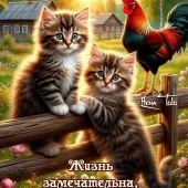 Людмила 39, Воронеж