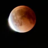 Екатерина 35, Санкт-Петербург