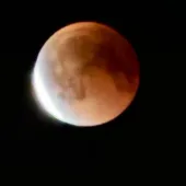 Екатерина 35, Санкт-Петербург