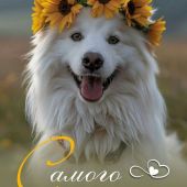 Алёна 36, Иваново