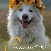 Алёна 36, Иваново