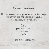 Мишель 35, Новосибирск