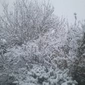 Марина 45, Москва