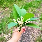 Гулия 34, Набережные Челны