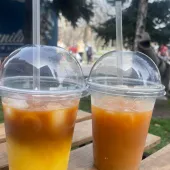 Марія 26, Кировоград