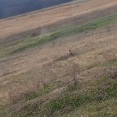 Кристина 30, Саратов